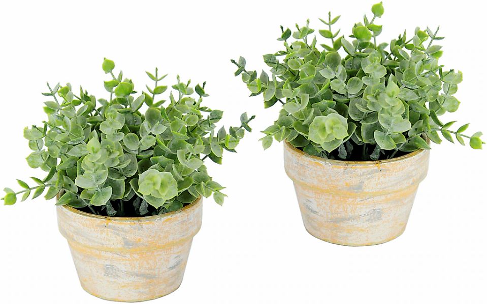 I.GE.A. Kunstpflanze "Künstlicher Eukalyptus im Topf 2er Set Pflanze", Deko günstig online kaufen