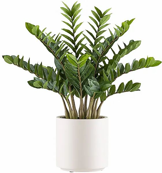 Creativ green Kunstpflanze »Zamifolia« im eleganten cremefarbenen Topf günstig online kaufen