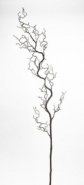 Kunstzweig Korkenzieherzweig / Haselnusszweig GA Kunstzweig künstlicher Kor günstig online kaufen