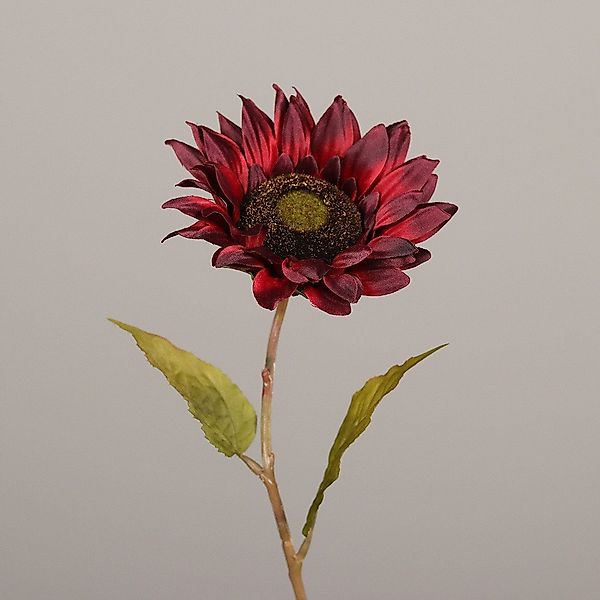 Kunstpflanze DPI Sonnenblume burgund 60 cm, günstig online kaufen