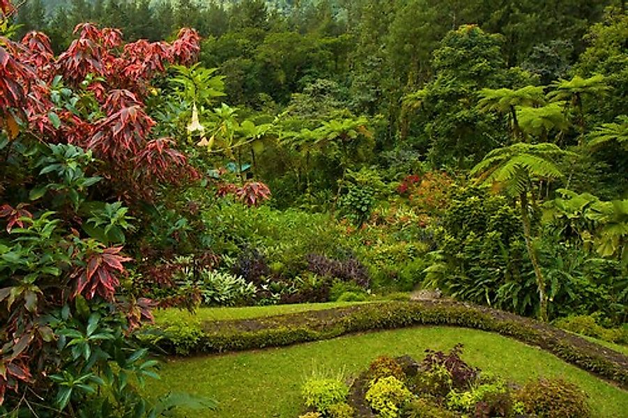 Papermoon Fototapete »GARTEN-BLUMEN BÄUME PFLANZEN PARK STEINE BLÜTEN WALD« günstig online kaufen