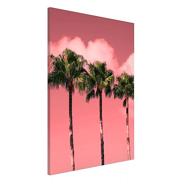 Magnettafel Natur & Landschaft - Hochformat 2:3 Palmen vor Himmel Rosa günstig online kaufen