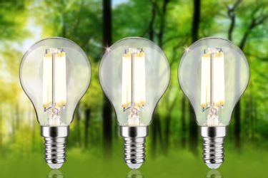 Paulmann LED-Leuchtmittel Eco-Line Filament 230V LED günstig online kaufen