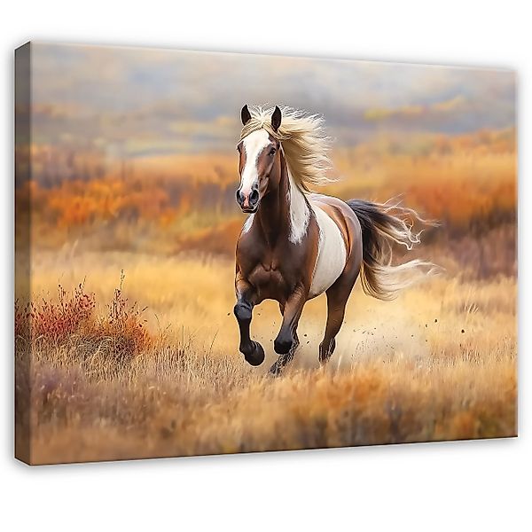 Wallarena Leinwandbild Pferd Feld Herbst Modern günstig online kaufen