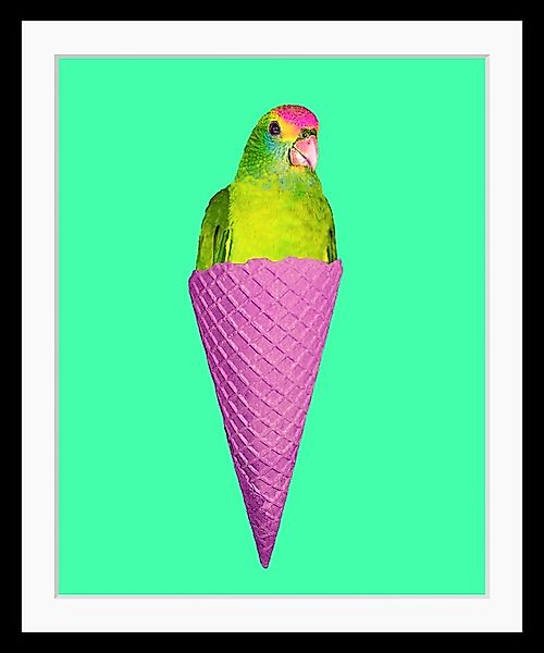 queence Bild »Merle« Eis   Foto   Kunst   Papageien   Süßigkeiten   Süßspei günstig online kaufen