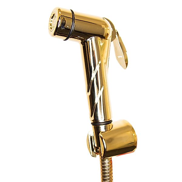 tecuro Bidetarmatur Bidet WC Handbrause Set günstig online kaufen