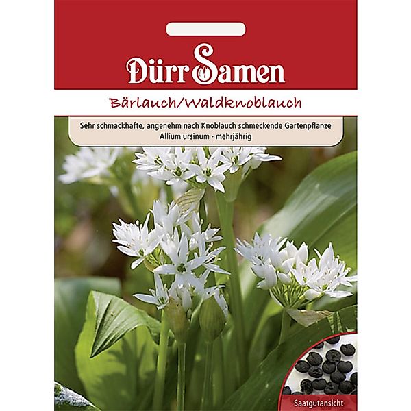 Dürr Samen Bärlauch/ Waldknoblauch Saatgut günstig online kaufen