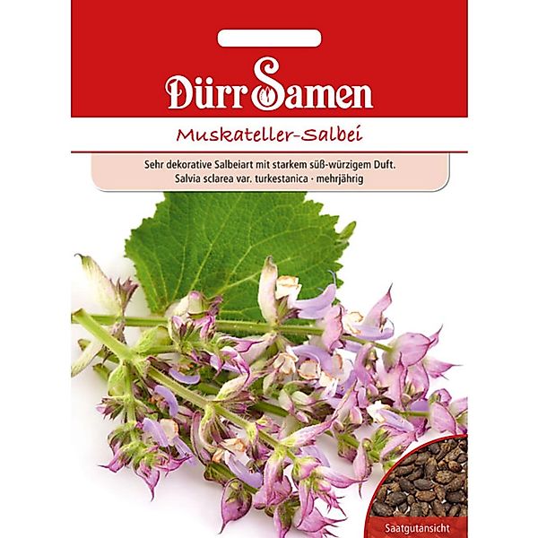 Dürr Samen Muskateller-Salbei Saatgut günstig online kaufen