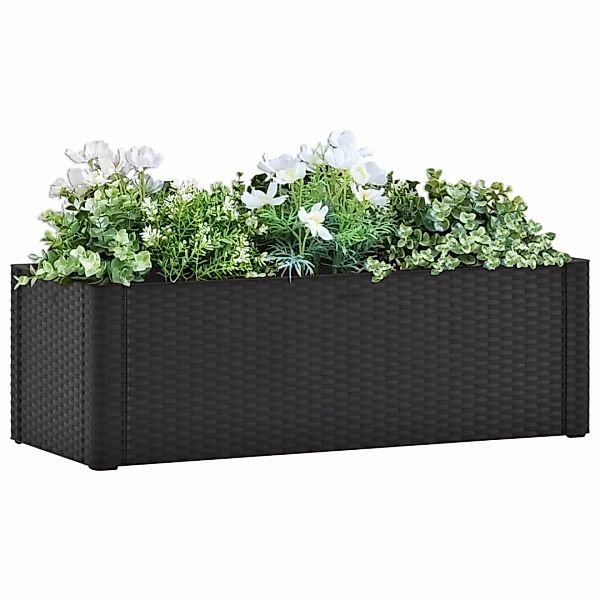 Garten-hochbeet Selbstbewässerungssystem Anthrazit 100x43x33 Cm günstig online kaufen