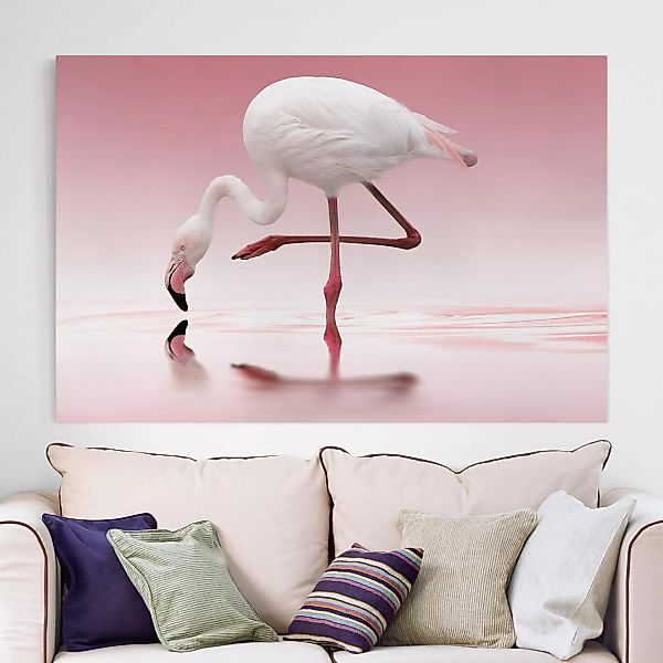 Leinwandbild Tiere - Querformat Flamingo Dance günstig online kaufen