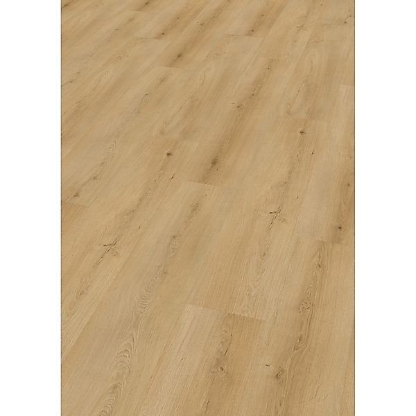 Click-Vinylboden SPC Zaire Eiche günstig online kaufen