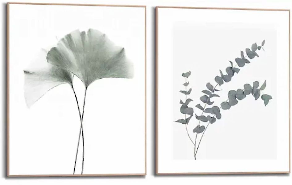 Reinders Bild mit Rahmen "Eukalyptus blatt Pflanze", Blätter, (2 St.), Gink günstig online kaufen