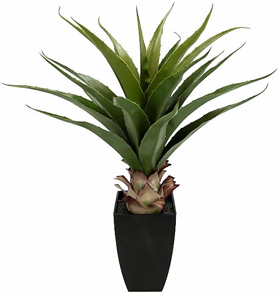Kunstpflanze Agave im Topf Agave, I.GE.A., Höhe 75 cm günstig online kaufen