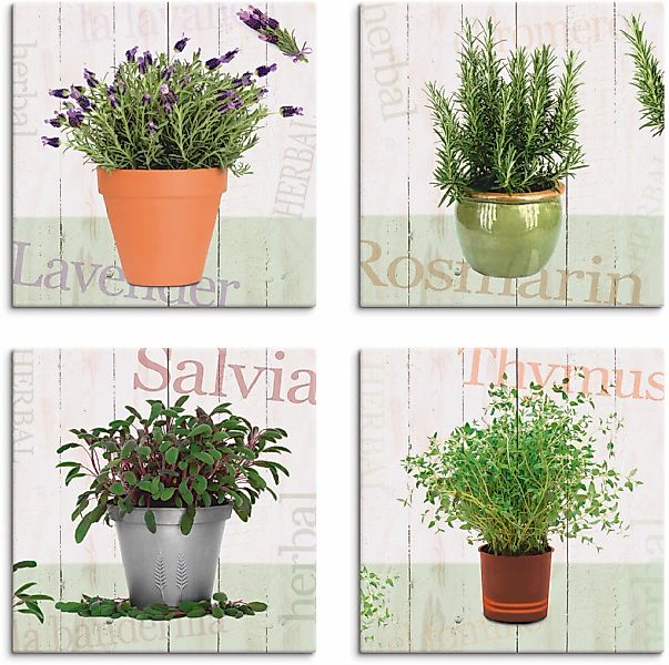 Artland Leinwandbild "Lavendel, Rosmarin, Salbei, Thymian" Pflanzen 4 Stk. günstig online kaufen
