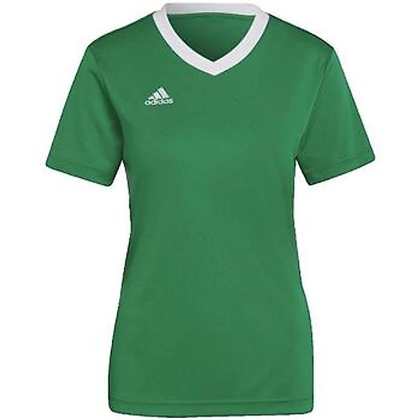 adidas  Badeanzug Entrada 22 günstig online kaufen