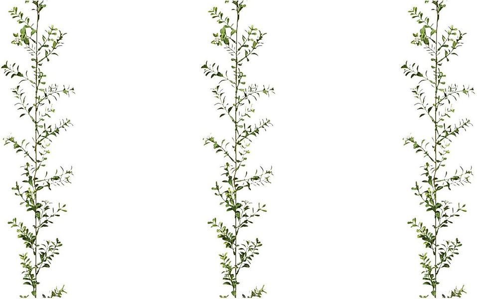 Kunstgirlande Buchsbaumgirlande Buchsbaum, Creativ green günstig online kaufen