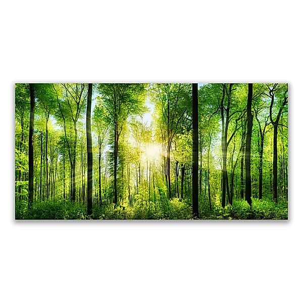Tulup Leinwandbild Wandbild Canvas Groß Bilder Wohnzimmer Schlafzimmer Aufh günstig online kaufen