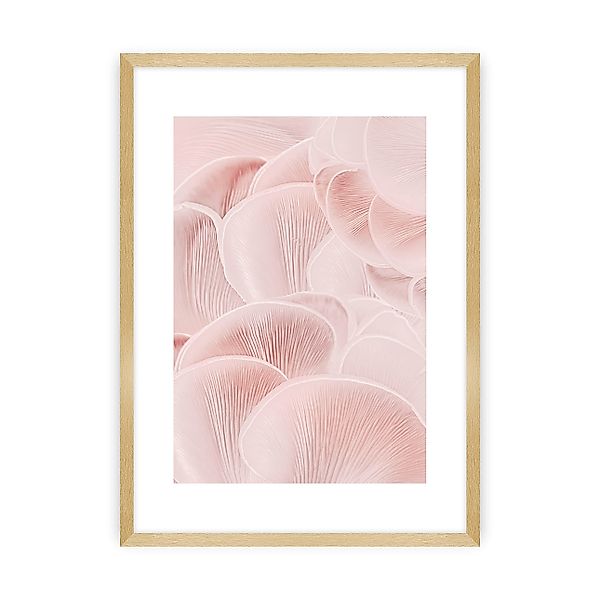 Poster Pastel Pink I, 70 x 100 cm , Ramka: Złota günstig online kaufen