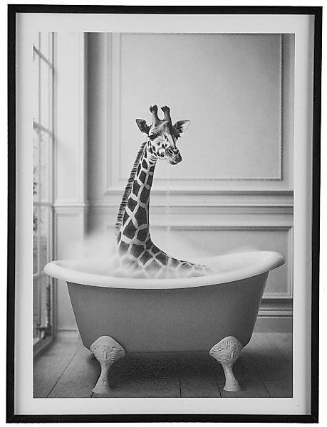 Creativ home Bild mit Rahmen "Leinwandbild Giraffe in Badewanne", (1 St.), günstig online kaufen