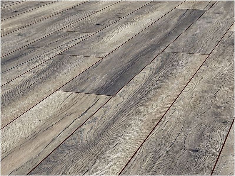 JANGAL Laminat Laminat Jangal 8024 Honey günstig online kaufen