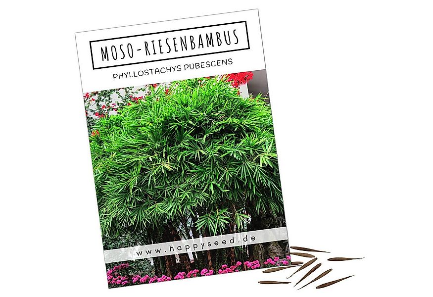 HappySeed Blumensamen Moso Riesenbambus Samen - Phyllostachys pubescens, Ba günstig online kaufen