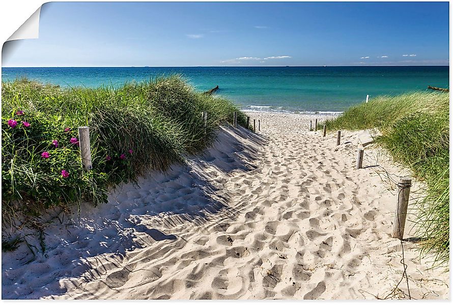 Artland Wandbild Weg zum Strand an günstig online kaufen