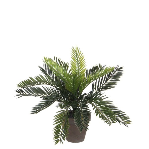 Kunstpflanze Mica Cycas Palme grün im günstig online kaufen