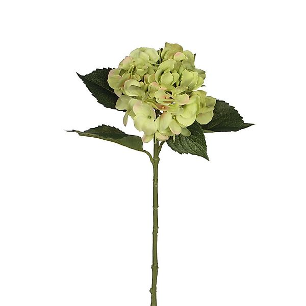 Kunstpflanze Mica künstliche Hortensie grün, 51 günstig online kaufen