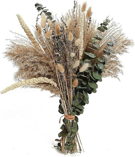 Trockenblume 89 STK Pampasgras Deko Boho Pampas Gras Trockenblumen, Coonoor günstig online kaufen
