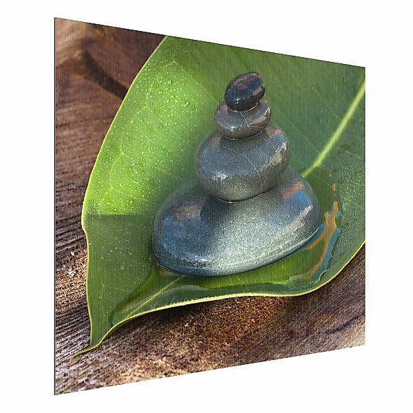 Alu-Dibond Bild - Querformat 4:3 Steinturm auf grünem Blatt günstig online kaufen