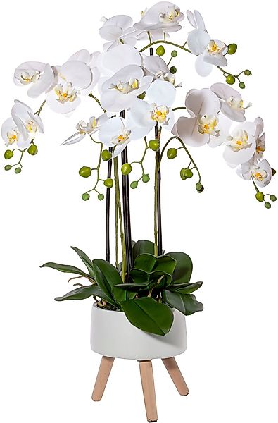 Kunstorchidee Orchidee Phalaenopsis in Keramikschale Orchidee günstig online kaufen
