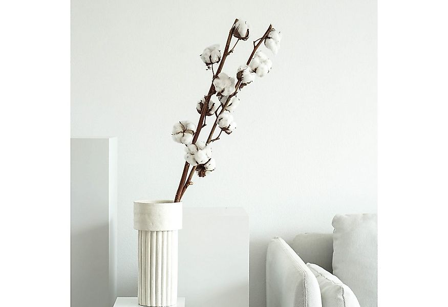 Trockenblume Getrocknete Baumwolle 60cm weiß, LYKKE & You günstig online kaufen