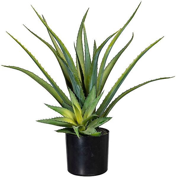 Künstliche Zimmerpflanze Deko-Sukkulente Aloe Aloe, Creativ günstig online kaufen