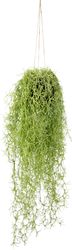 I.GE.A. Kunstpflanze "Mooshänger" Mit Hängeampel günstig online kaufen