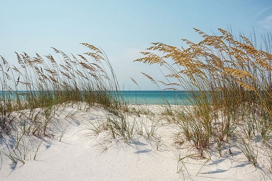 Papermoon Fototapete "DÜNEN-MEER SEE KÜSTE NORDSEE OSTSEE STRAND SYLT BAUM" günstig online kaufen