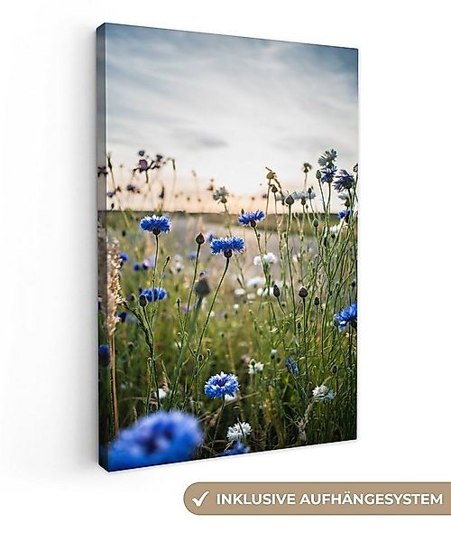 OneMillionCanvasses® Leinwandbild Blumen - Sommer - Kornblume - Blau - Sonn günstig online kaufen