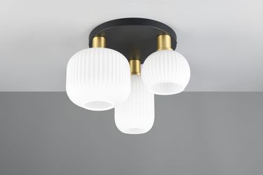 TRIO Leuchten Deckenleuchte DIVA, E27 Deckenlampe günstig online kaufen