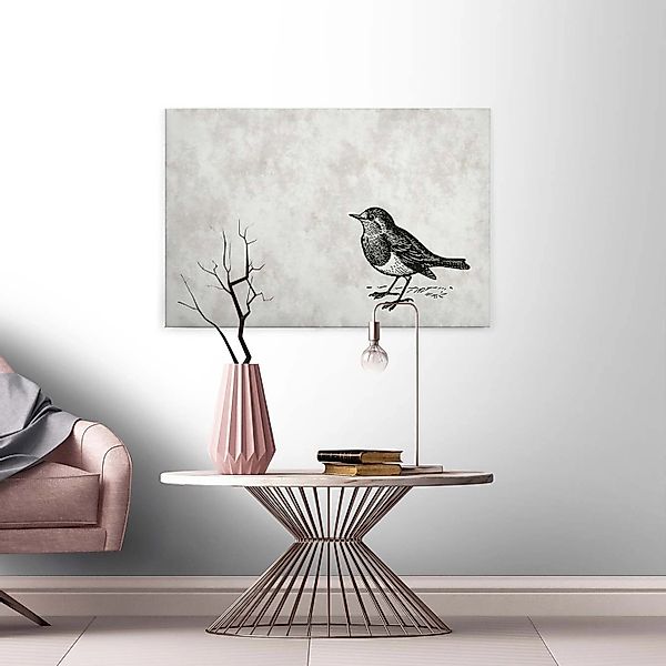 A.S. Création Leinwandbild "sketchpad 5" Kunst  Vögel 1 Stk. tlg. Schwarz-W günstig online kaufen