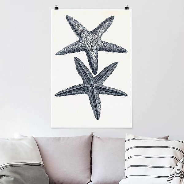 Poster - Hochformat Strandgut in Navy II günstig online kaufen