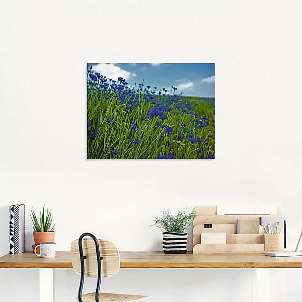 Artland Glasbild "Kornblumenwiese", Blumenwiese, (1 St.), in verschiedenen günstig online kaufen