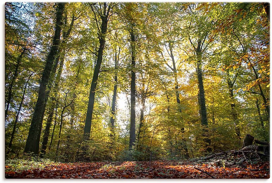 Artland Leinwandbild "Laubwald zum Herbst" Waldbilder 1 Stk. tlg. auf Keilr günstig online kaufen
