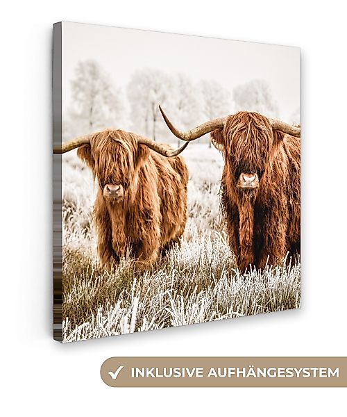 OneMillionCanvasses® Leinwandbild Schottischer Hochländer - Kuh günstig online kaufen