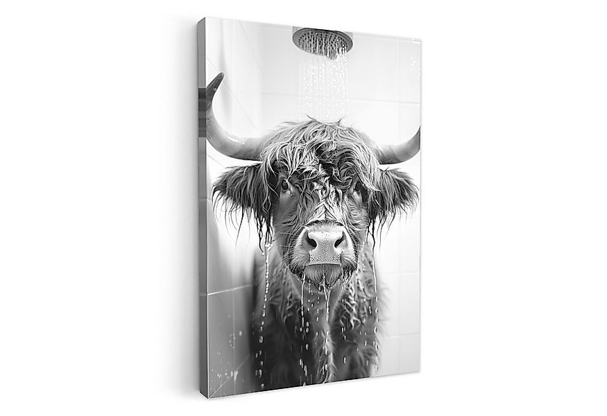 OneMillionCanvasses® Leinwandbild Schottischer Highlander - Tier - Dusche - günstig online kaufen