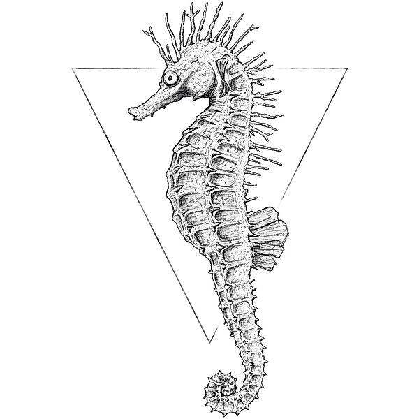 Komar Bild "Sea Horse White" Tiere 1 Stk. tlg. Wandbild zur Dekoration - oh günstig online kaufen