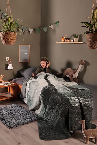 Biederlack Wohndecke "Wohndecke Brachio" Wohndecke Brachio mit den Riesen d günstig online kaufen
