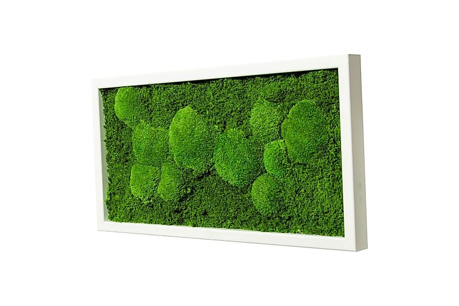 Moos-Design Bild Moosbild Fifty Fifty Design günstig online kaufen