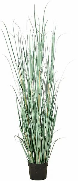 Creativ green Kunstgras »Grasbusch Cortaderia«, in opulenter Größe günstig online kaufen