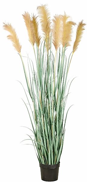 Creativ green Kunstgras "Grasbusch Cortaderia", in opulenter Größe günstig online kaufen