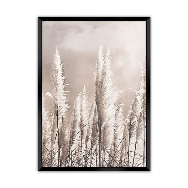 Wandbild Grass 30x40cm, 30 x 40 cm günstig online kaufen