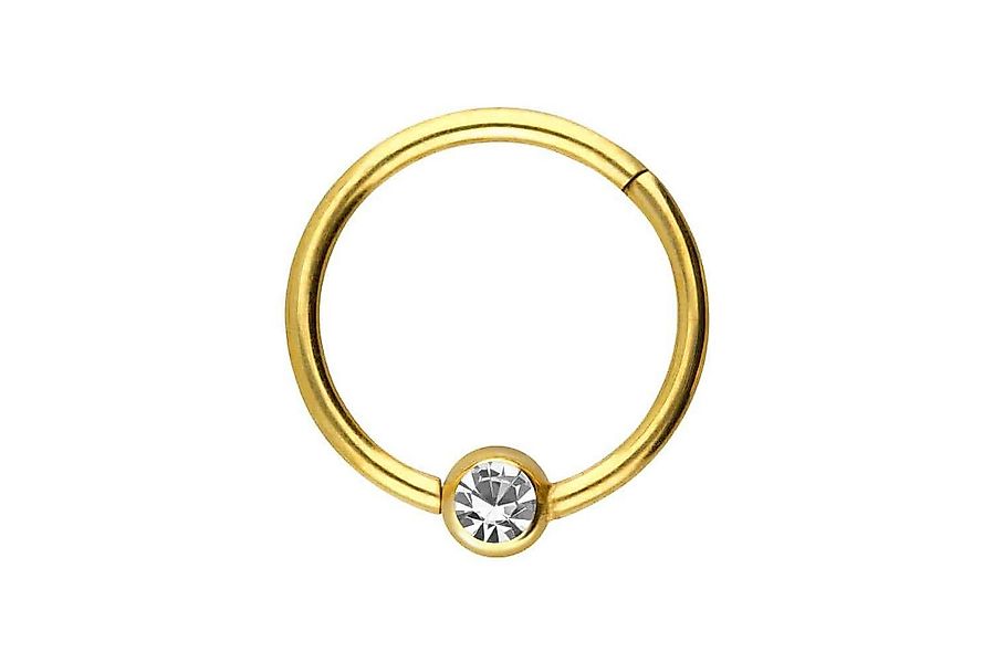 PIERCINGLINE Nasenpiercing Titan Segmentring Clicker KRISTALL Ohrpiercing S günstig online kaufen